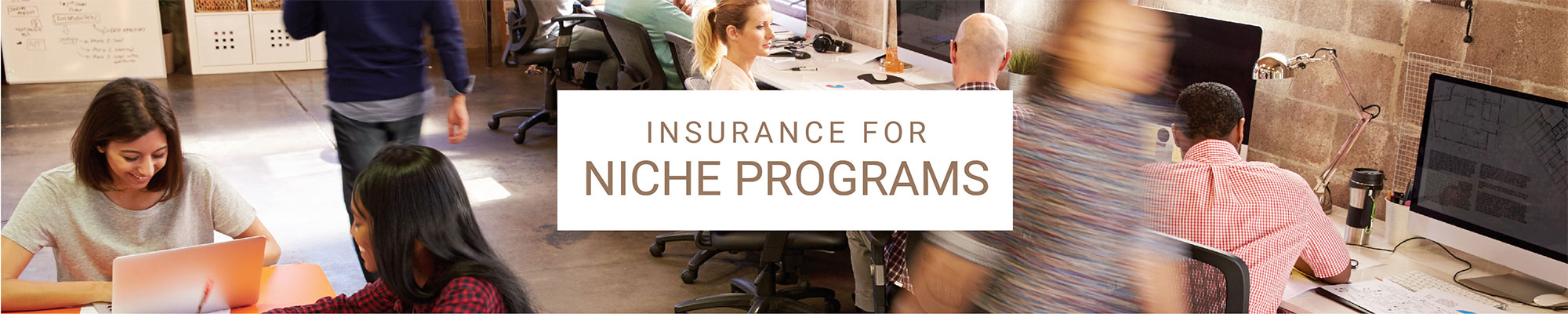 photo of office scene with text 'Insurance for Niche Programs'