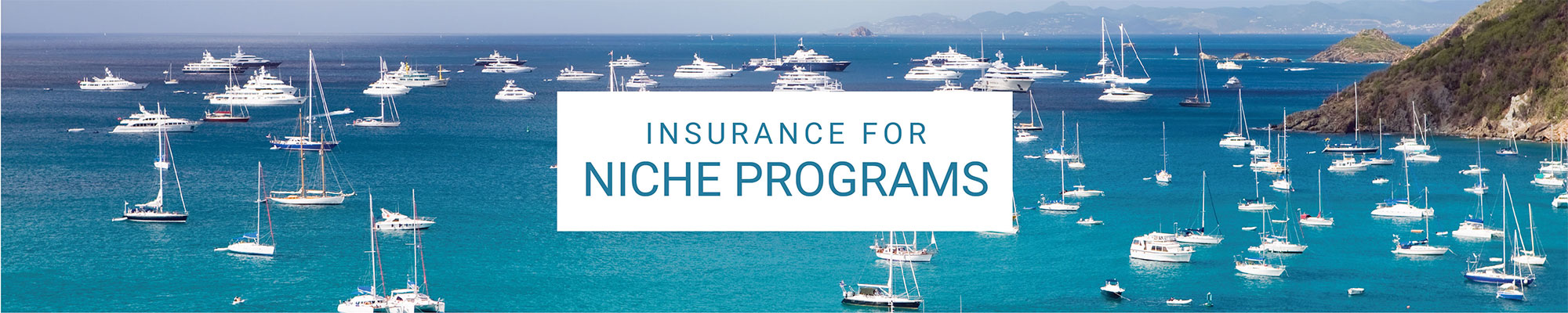 photo of harbor with ships with text 'Insurance for Niche Programs'