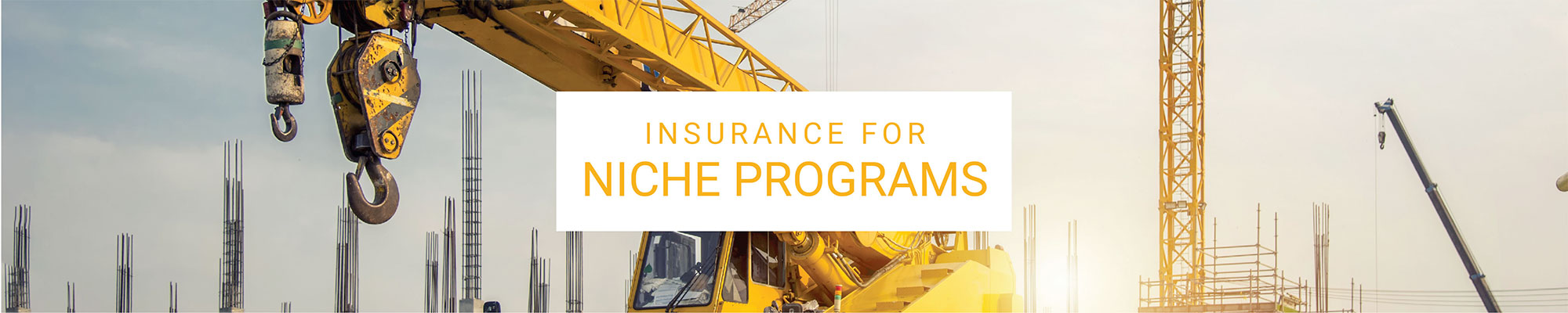 photo of cranes with text 'Insurance for Niche Programs'