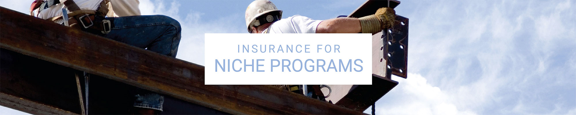 photo of men working construction with text 'Insurance for Niche Programs'