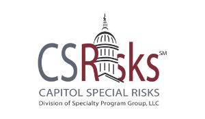 Logo CSRisks