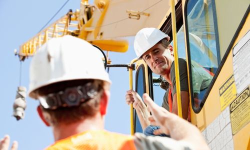 specialty program cranes