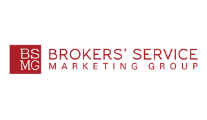 BSMG Portfolio of Brands 300x175