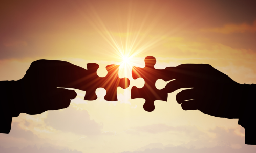 specialty program drs.jpg