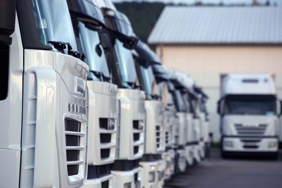 row of parked white trucks